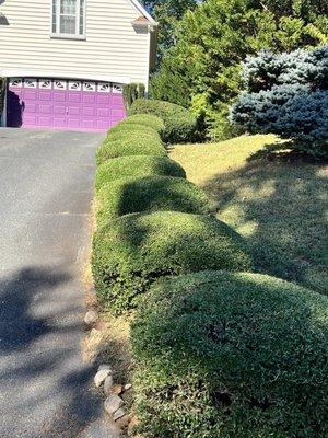 Valencia’s Lawncare