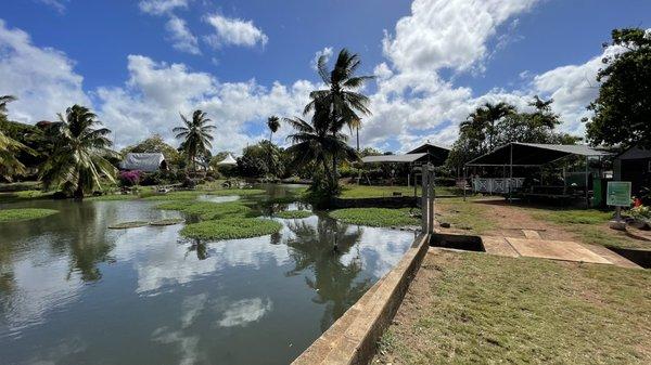 Malama Loko Ea Foundation