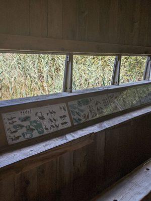 Bird blind inside