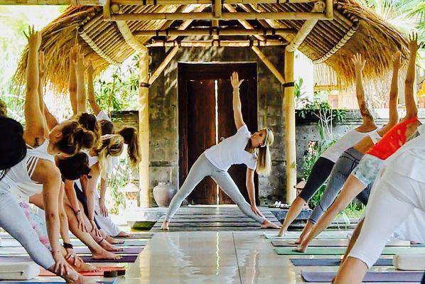 Allie Klun Consulting