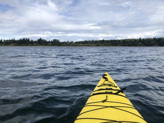Sue Stinson - Windermere Vashon