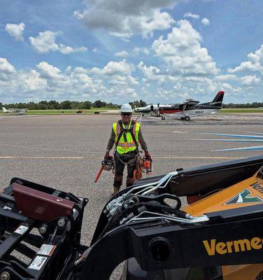 Purple Hippo Tree and Landscape Services