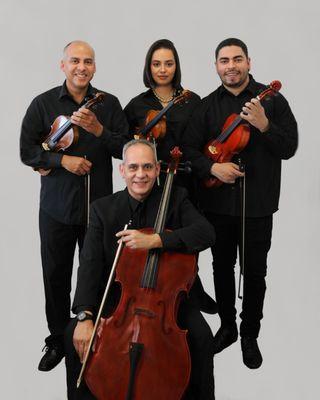 Strings Faculty
