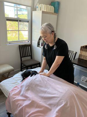 Tsubakiyama Acupuncture Clinic