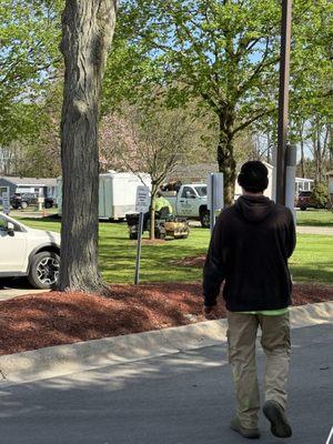 Shay's Greenview Lawn Care