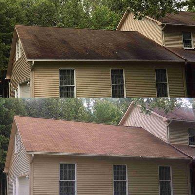 Big Blue Power/Pressure/Soft Washing/Lawncare. Landscape