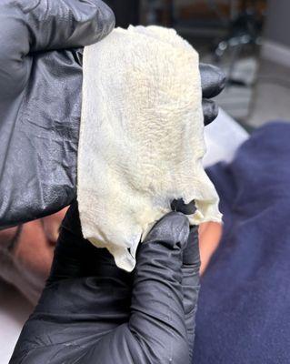 SKXN Aesthetics by Ny