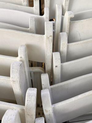 Full Moon Party Rentals