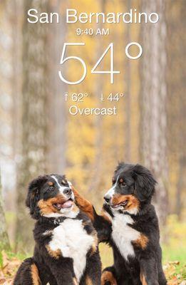 Littlefield/Shultis Park