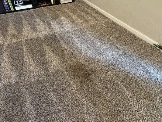 Oxi Fresh Carpet Cleaning