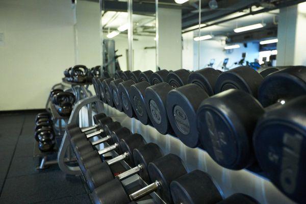 Trophy Fitness Mockingbird