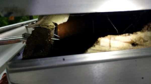 More damage. Our gutters were literally hung in this rotten wood!