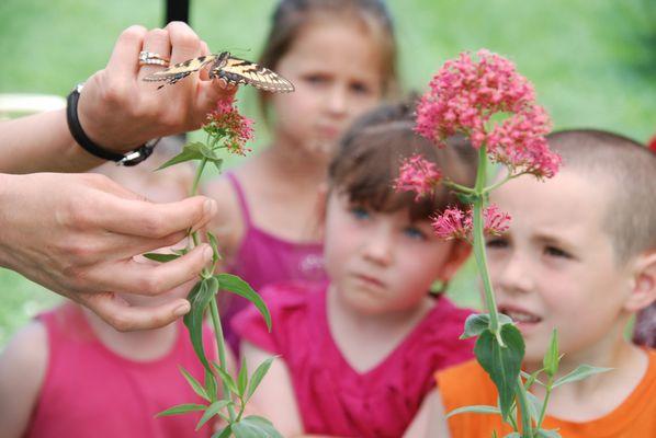 Mansfield Children's School, Inc