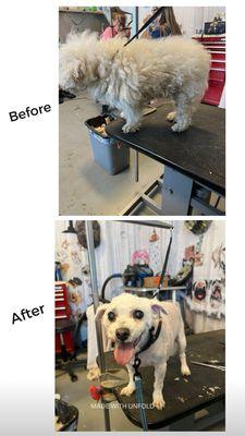 Lydia's Pet Grooming