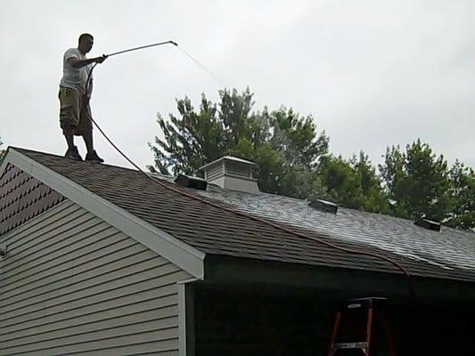 Absolutely Clean Carpets & Windows