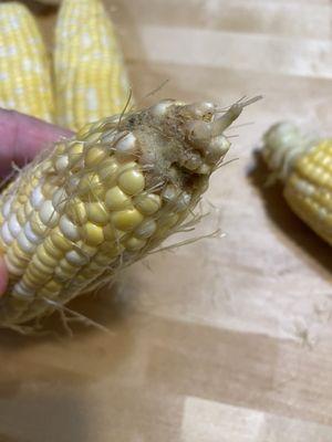 Corn with bad spots