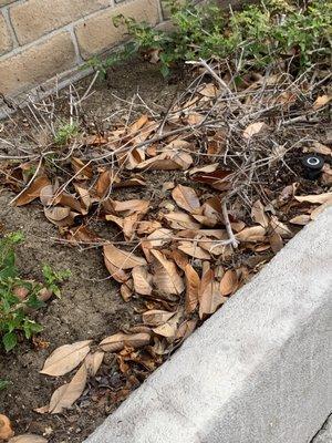 O'Connell Landscape Maintenance