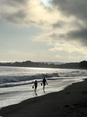 Bailey Property Management