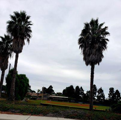 When we learned that they play 14 innings, we left to go get food after the 9th ....