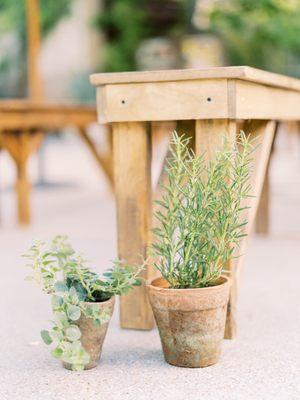 BloomingBelles Rentals