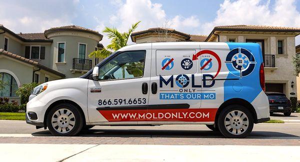 Mold Only - The Best South Florida Mold Remediation Company