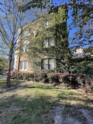 Azalea Court Apartments