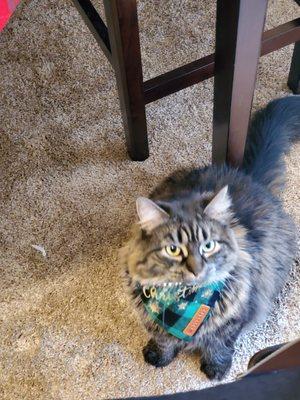 Oakcrest Veterinary Clinic