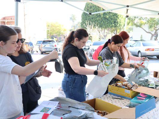 Ace of Hearts Dog Rescue