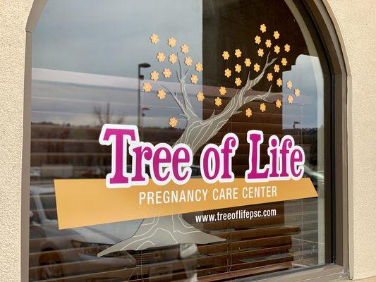 Window Graphics Printed, Cut and Installed for Tree of Life in Paso Robles