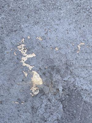 Driveway Sealing Call Frank