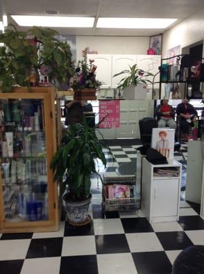 Bella Fashion & Beauty Salon