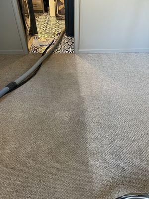 Statewide Carpet Cleaning
