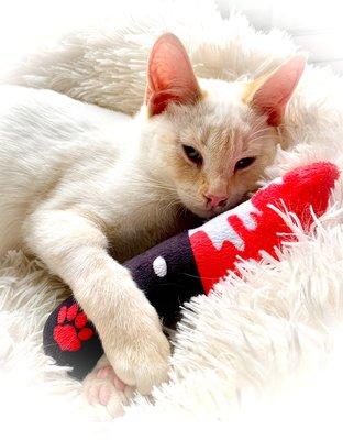 Killer knife catnip Toy