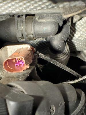 Integrity Automotive Services