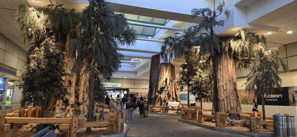 Hertz Car Rental - Fresno Yosemite International Airport