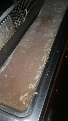 This is just a little of what I cleaned working here for 2 weeks. Digusting, dirty, moldy place.