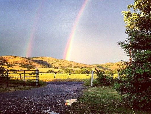 Troberg Pest Control