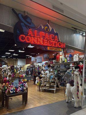 Alpaca Connection
