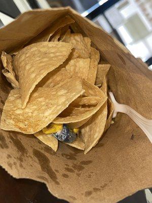 A little fly in the chips