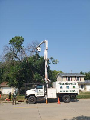 Full service tree company
