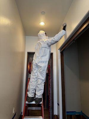 All surfaces are wiped down with a plant-based anti-microbial agent