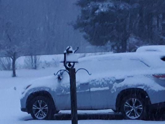 Got maybe an inch in bangor. Predictions were 7-12"