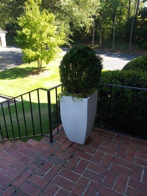 Ever Paradise Garden