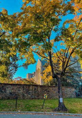 Georgetown University