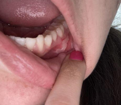 Comfy Dental Group and Orthodontics