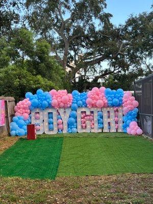 Gender Reveal Tampa