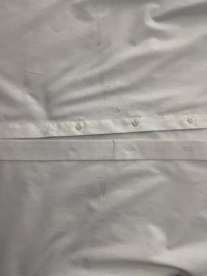 Pine Tree Cleaners and Laundry