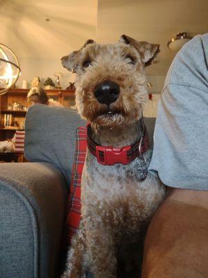 Clayton Road Veterinary Hospital