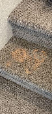 Tromp's Carpet Cleaning