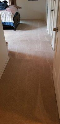 Dry Pro Carpet Dry Cleaning